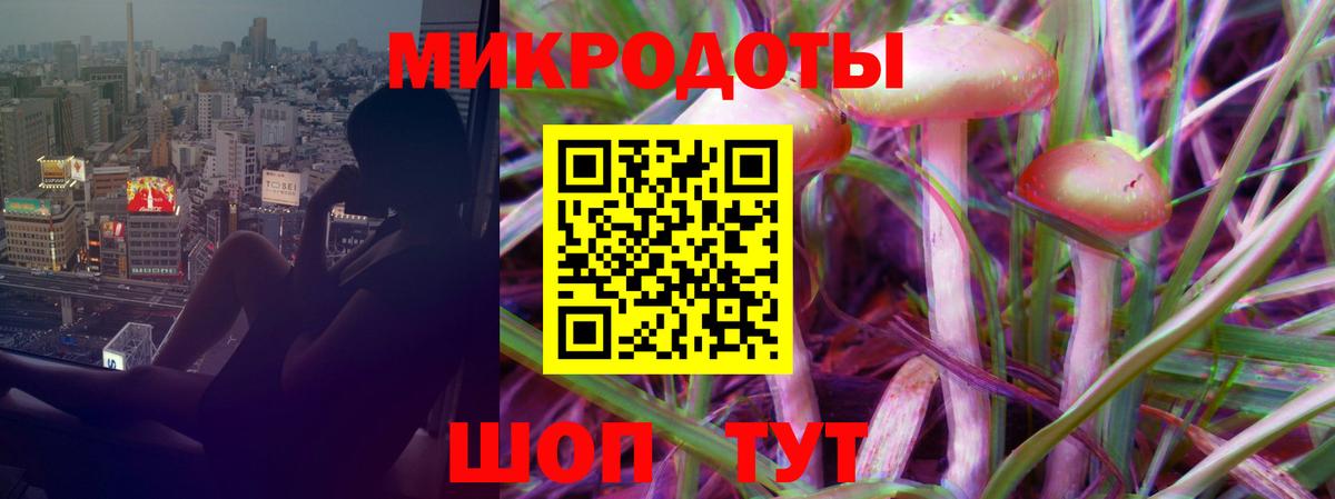 Галлюциногенные грибы Psilocybe  Псилоцибиновые грибы GOLDEN TEACHER  Вход с VPN  Лабытнанги 